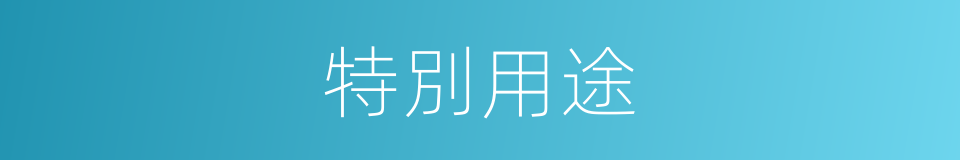 特別用途的意思