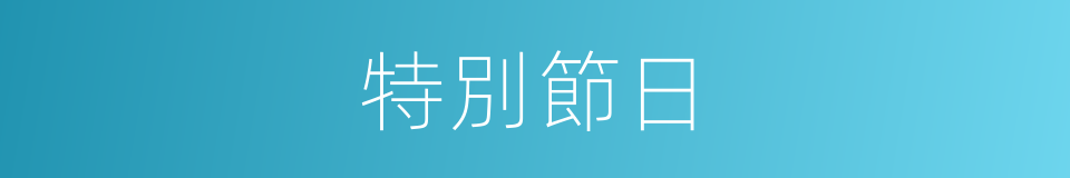 特別節日的意思