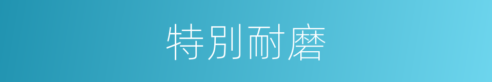 特別耐磨的意思