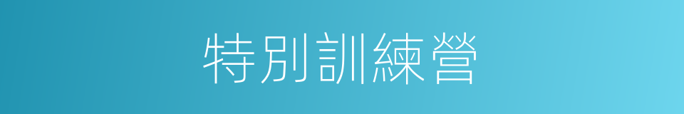 特別訓練營的同義詞