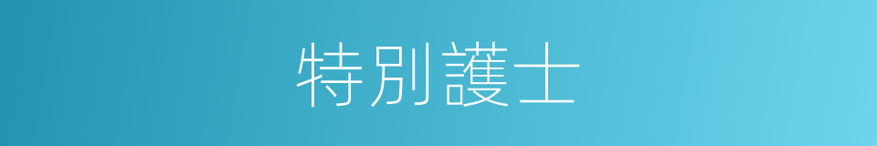特別護士的意思