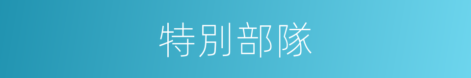 特別部隊的意思