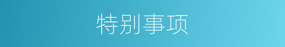 特别事项的意思