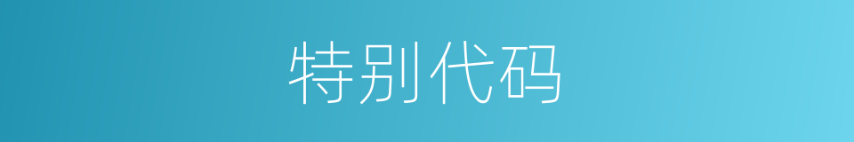 特别代码的意思
