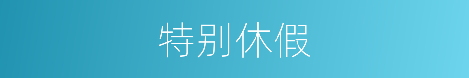 特别休假的意思