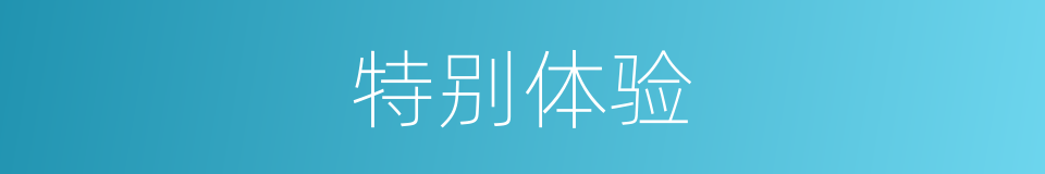 特别体验的意思