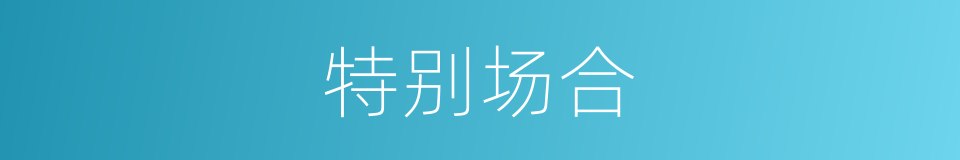 特别场合的意思