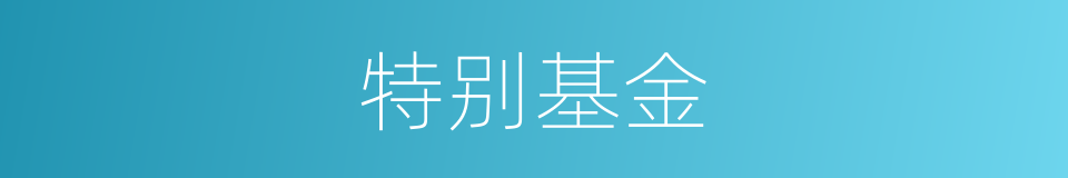 特别基金的意思