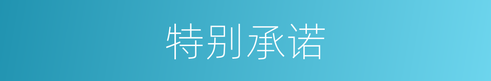 特别承诺的意思