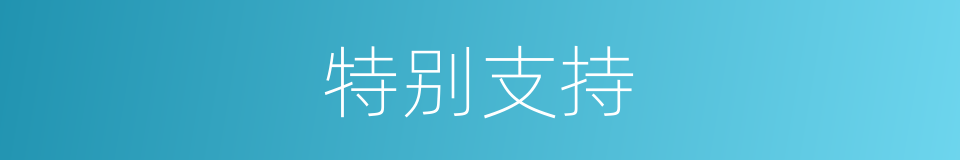 特别支持的意思
