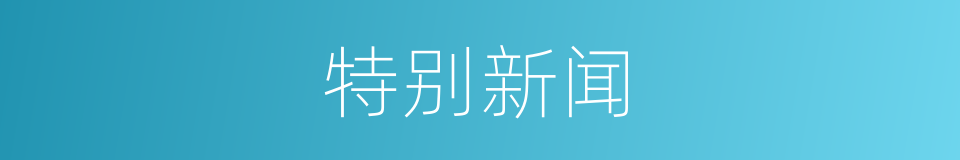 特别新闻的意思