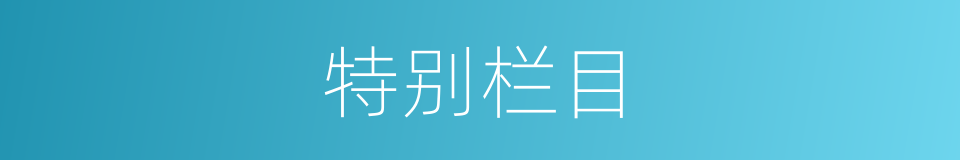 特别栏目的意思