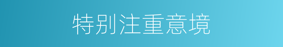 特别注重意境的同义词