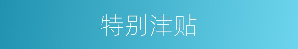 特别津贴的意思