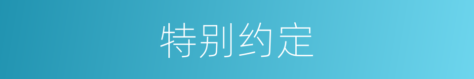 特别约定的意思