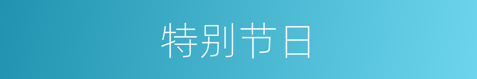 特别节日的意思