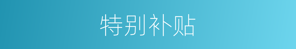 特别补贴的意思