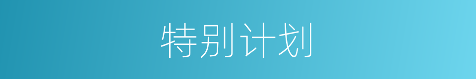 特别计划的同义词