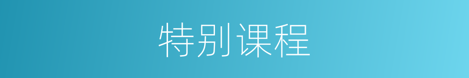 特别课程的意思