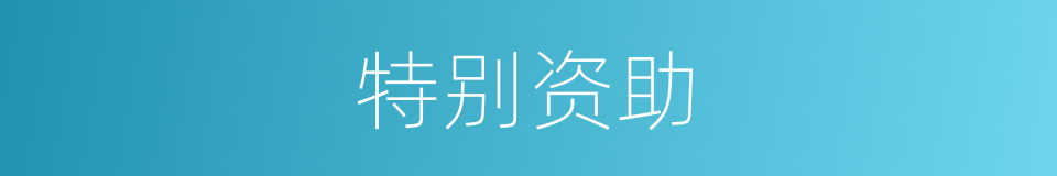 特别资助的意思