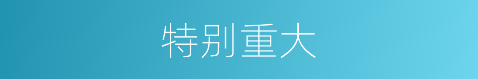 特别重大的意思