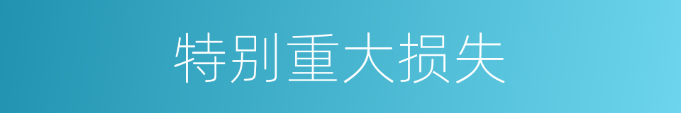 特别重大损失的同义词