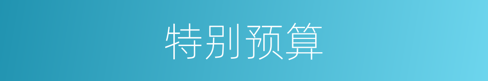 特别预算的意思