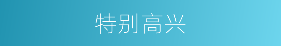 特别高兴的意思