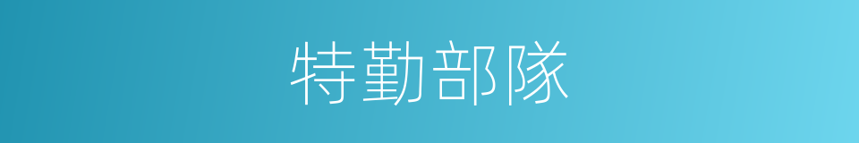 特勤部隊的同義詞