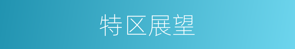 特区展望的同义词