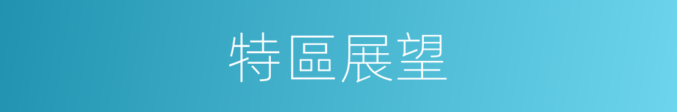 特區展望的同義詞