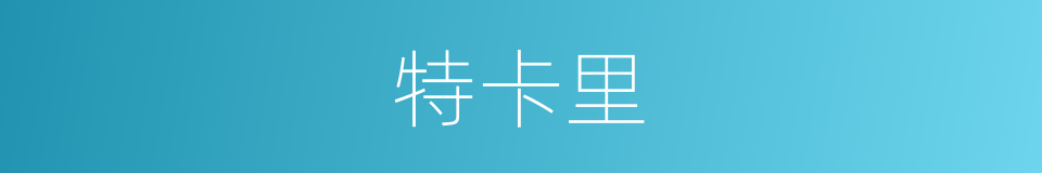 特卡里的同义词