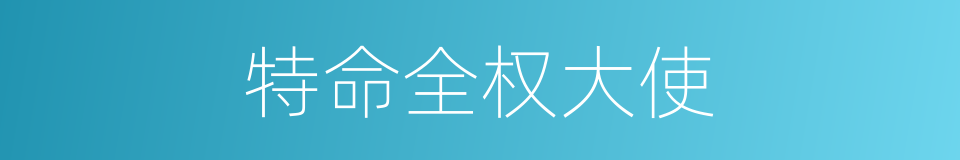 特命全权大使的同义词