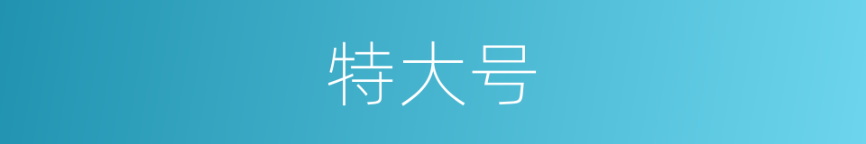 特大号的同义词