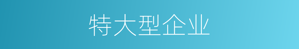 特大型企业的同义词