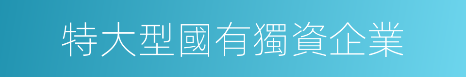 特大型國有獨資企業的同義詞