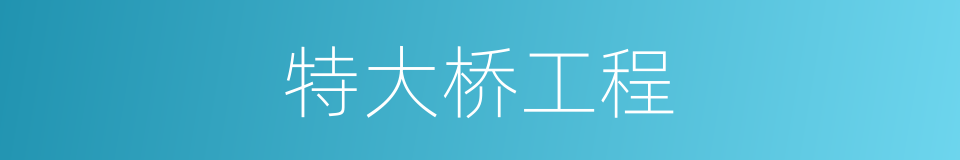特大桥工程的同义词