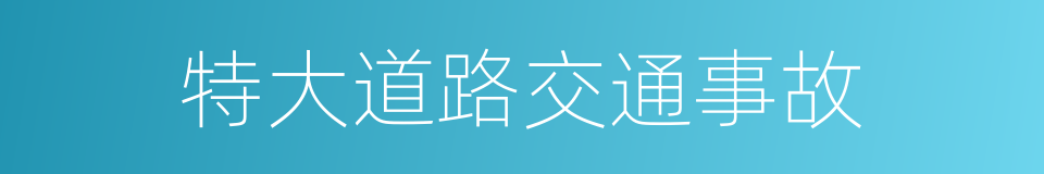 特大道路交通事故的同义词