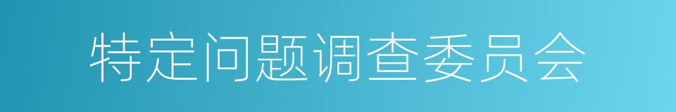 特定问题调查委员会的意思