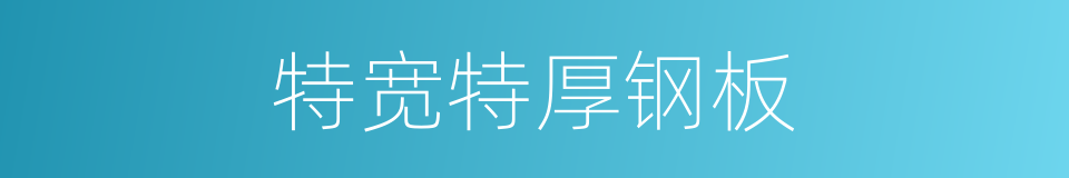 特宽特厚钢板的同义词