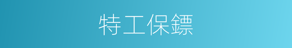 特工保鏢的同義詞