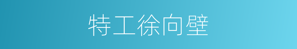 特工徐向壁的同义词