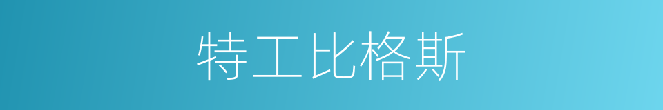 特工比格斯的同义词
