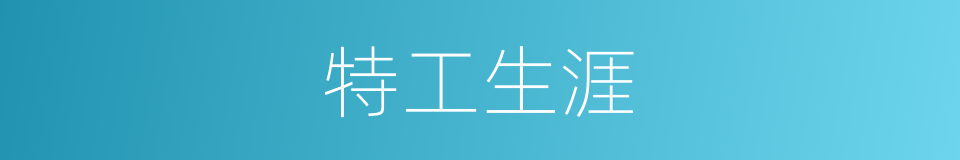 特工生涯的同义词