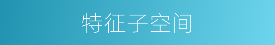 特征子空间的同义词