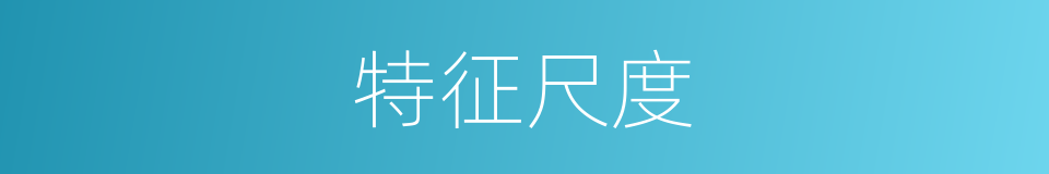 特征尺度的同义词