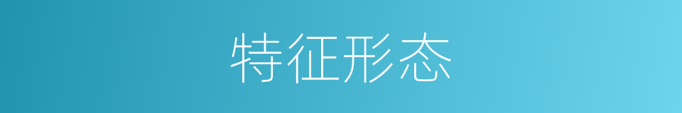特征形态的同义词