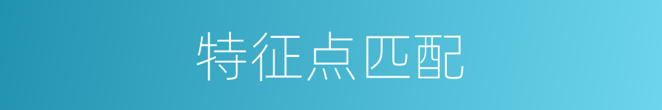 特征点匹配的同义词
