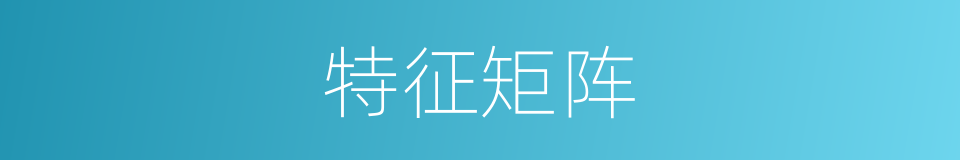 特征矩阵的同义词