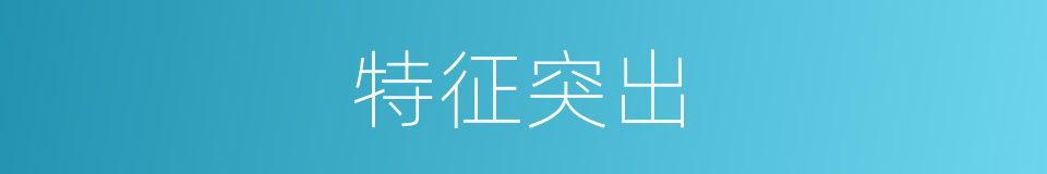 特征突出的同义词